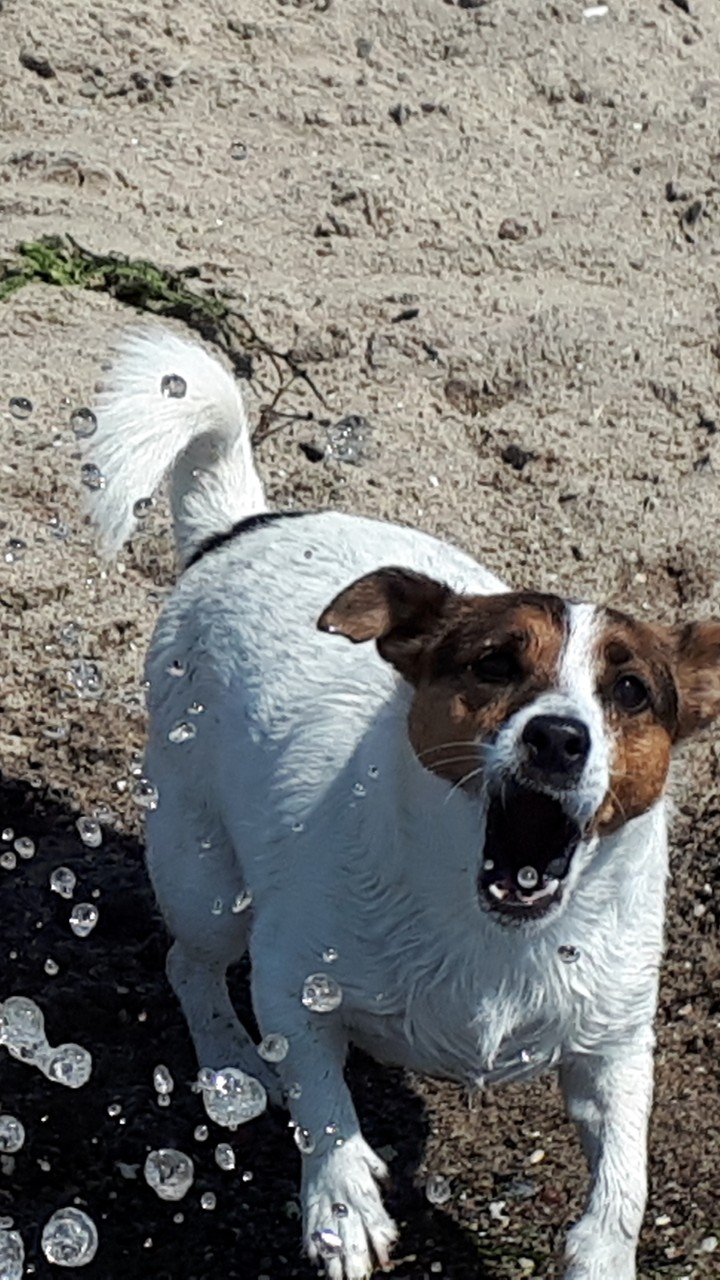 Wasserspaß