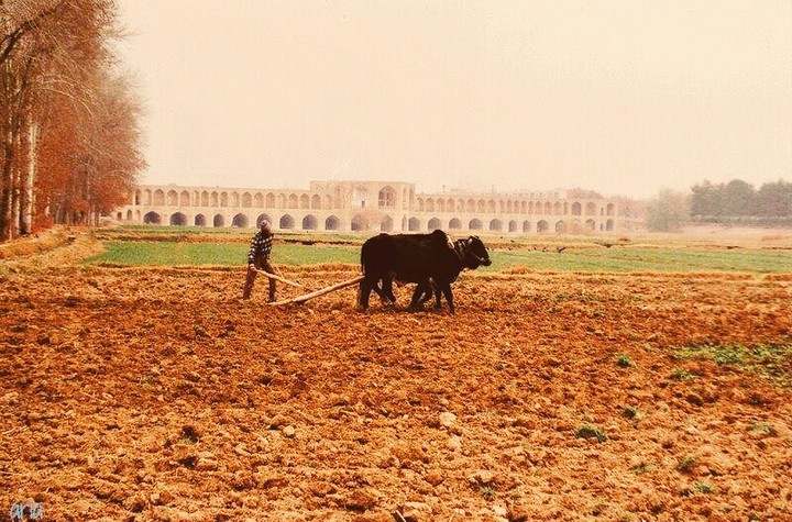 Old Isfahan