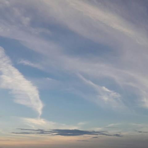 at the sky.