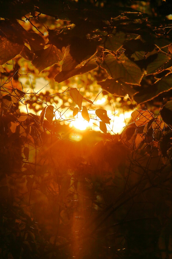 The sun is shining