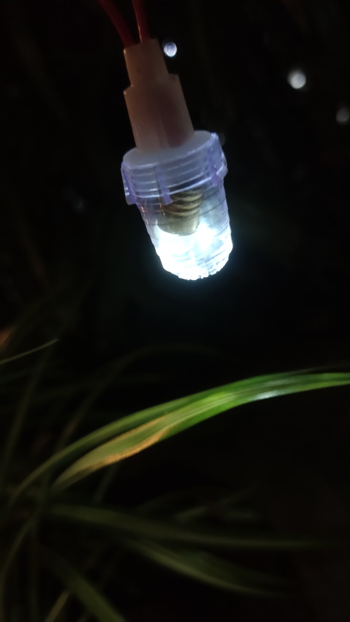 let there be light