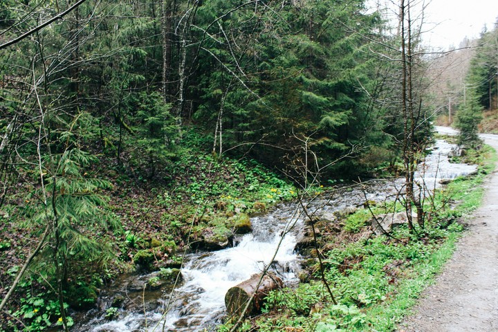 stream