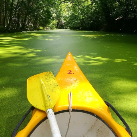 Canoe