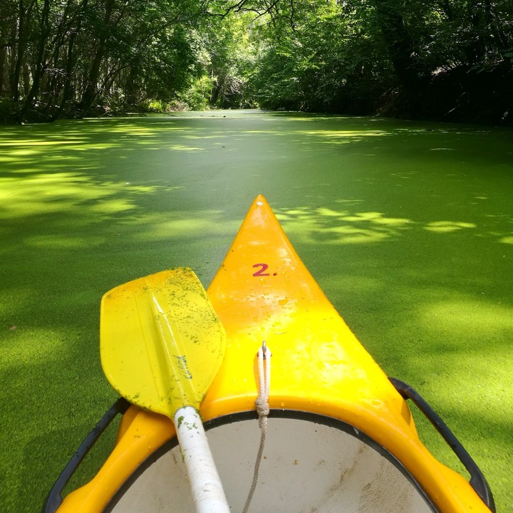 Canoe