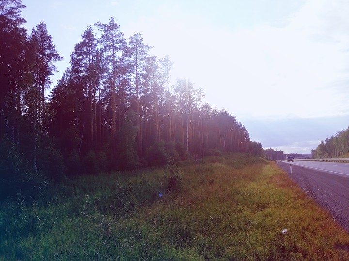 Wood & Road
