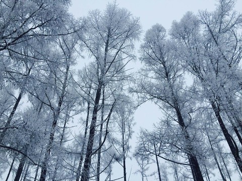 Winter❄❄❄
