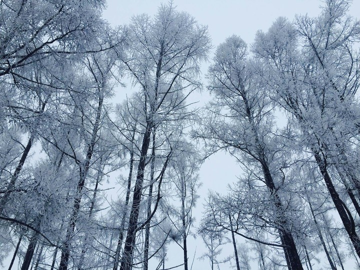 Winter❄❄❄