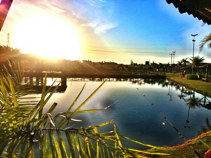 sol