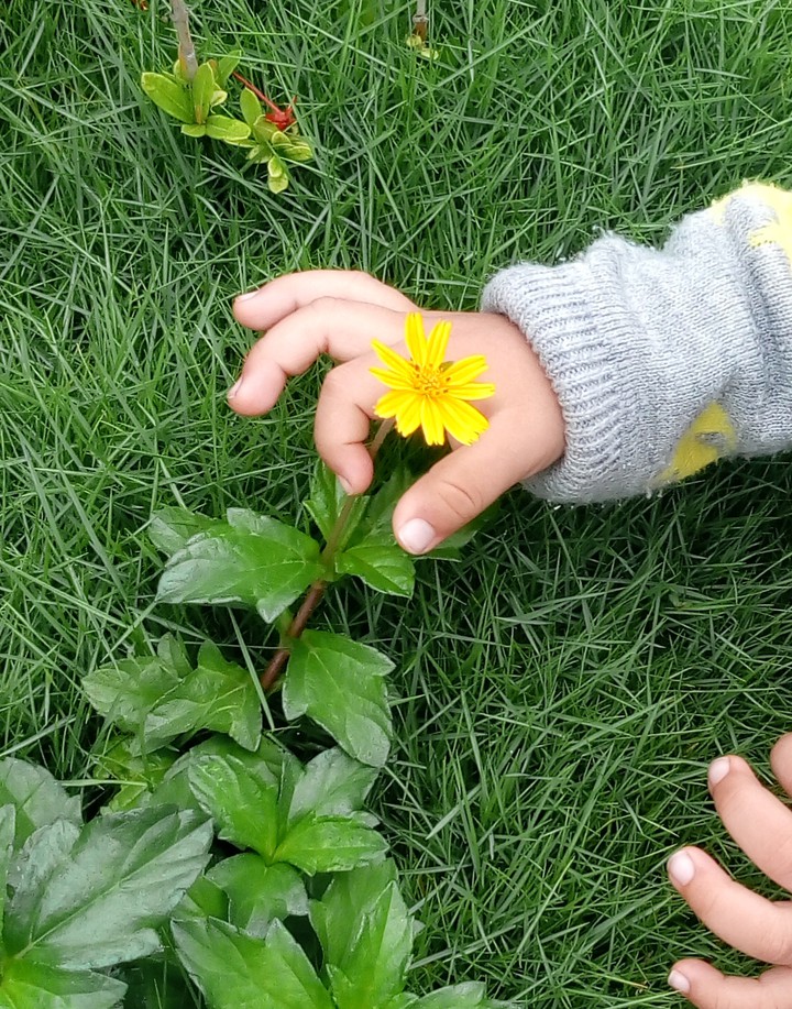beautiful nature