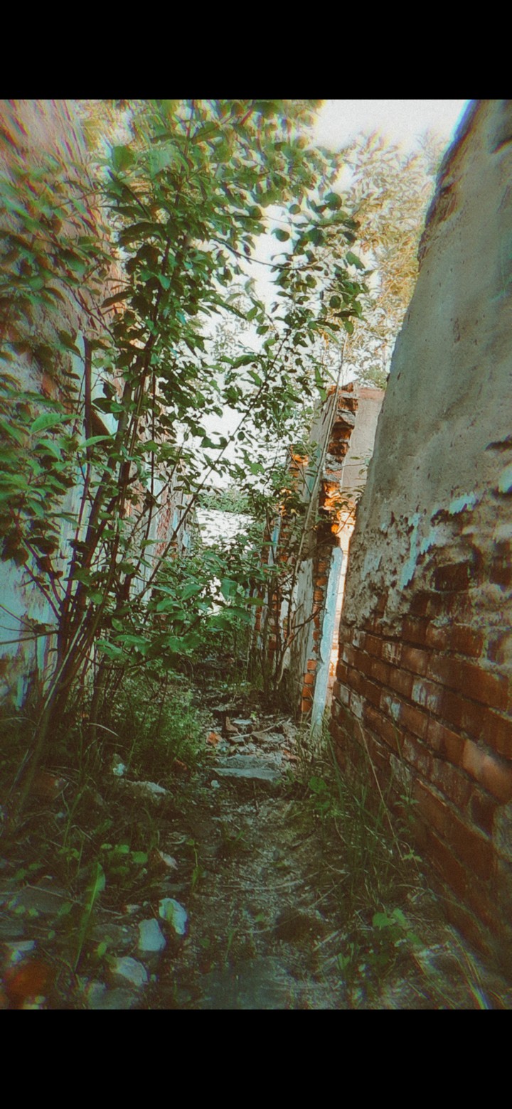 заброшка