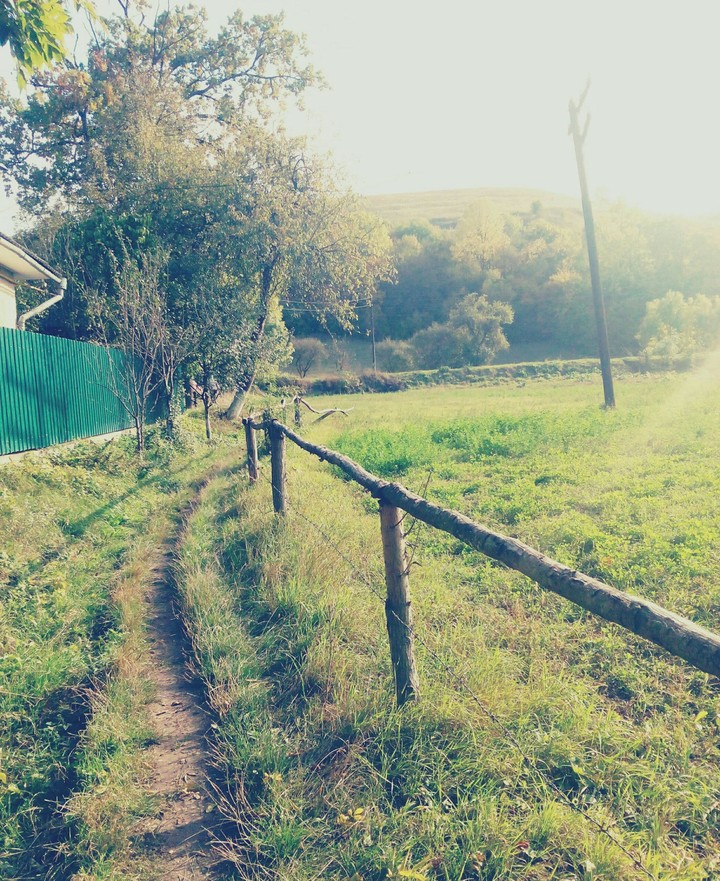 summer in the village
