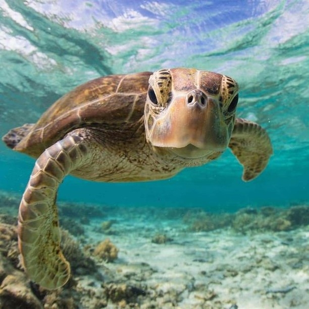 Our Beautiful World