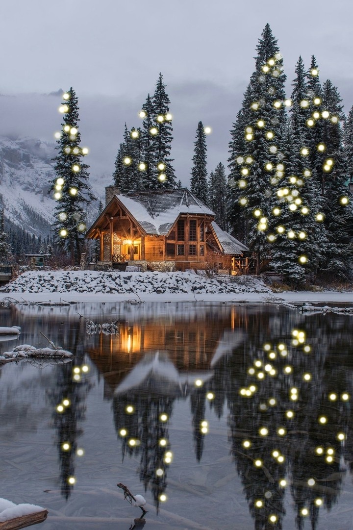 lights