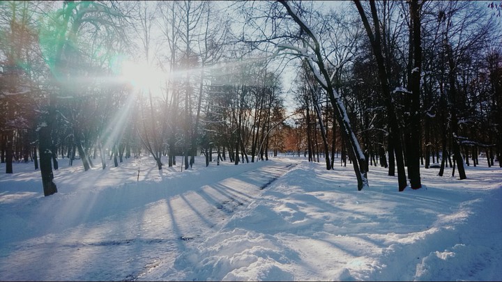 Winter