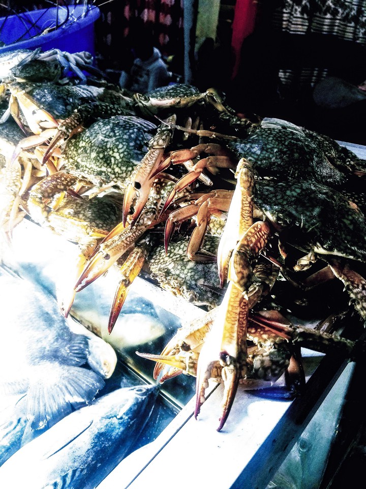 crabs