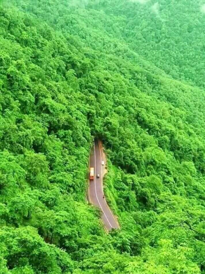 beautiful