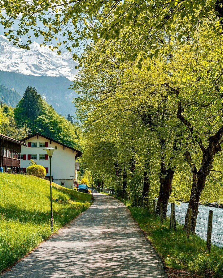 Swiss