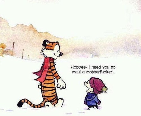 Calvin and Hobbes