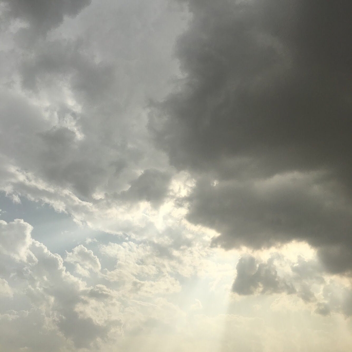 sun light