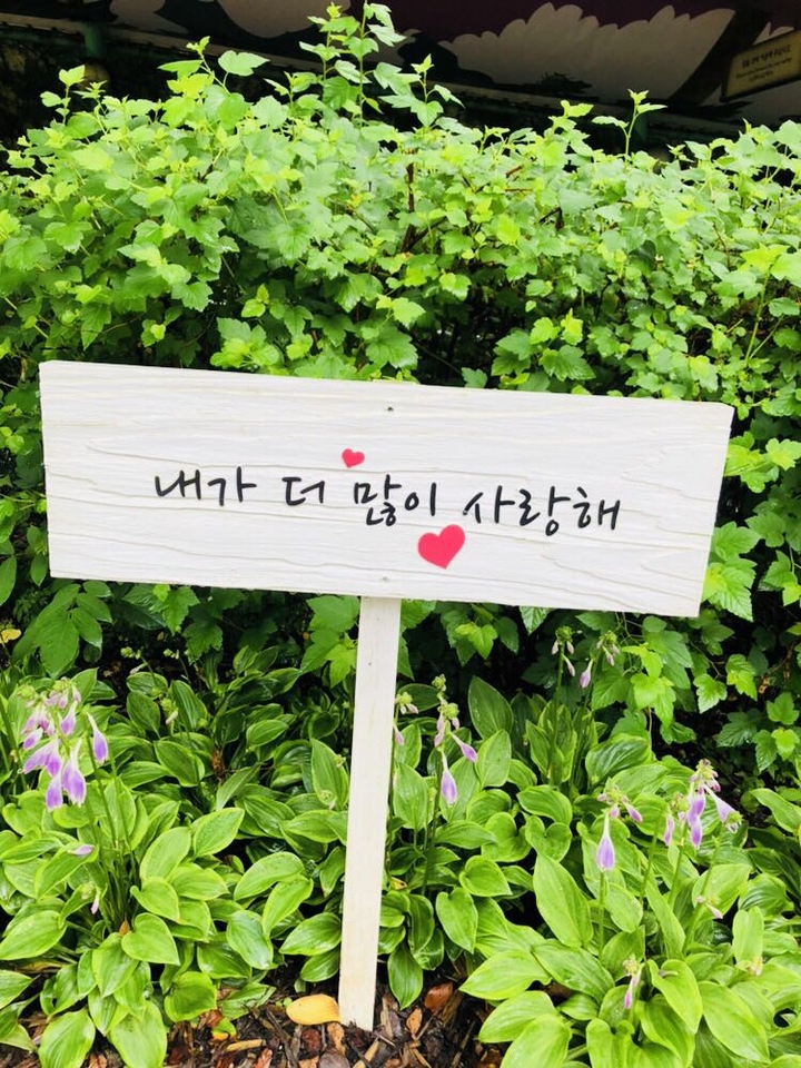 사랑해