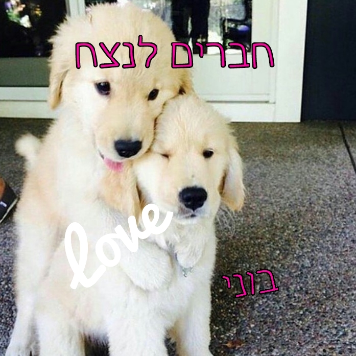 חברים לנצח