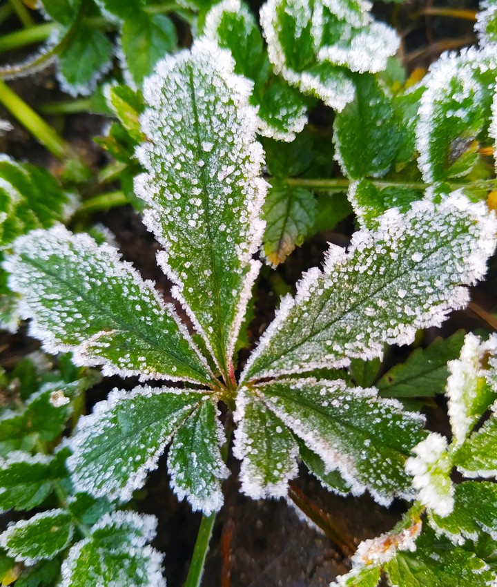 hiver