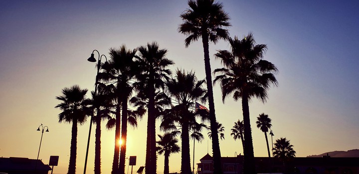 pismo