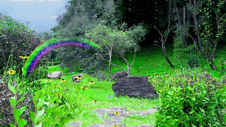 nature