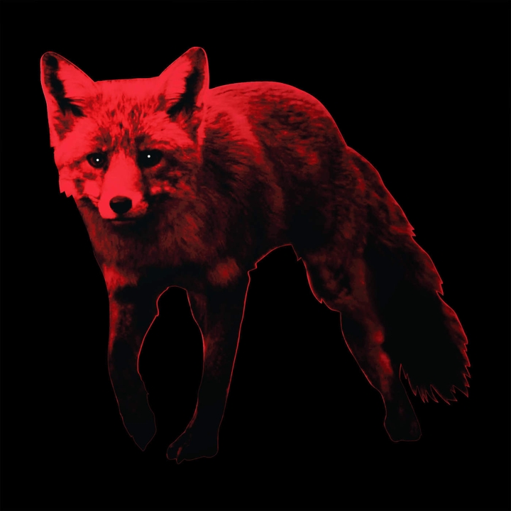 red fox