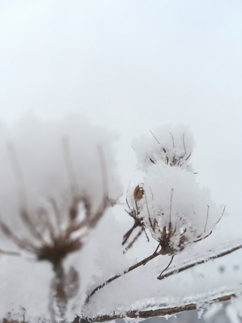 Minimalistic