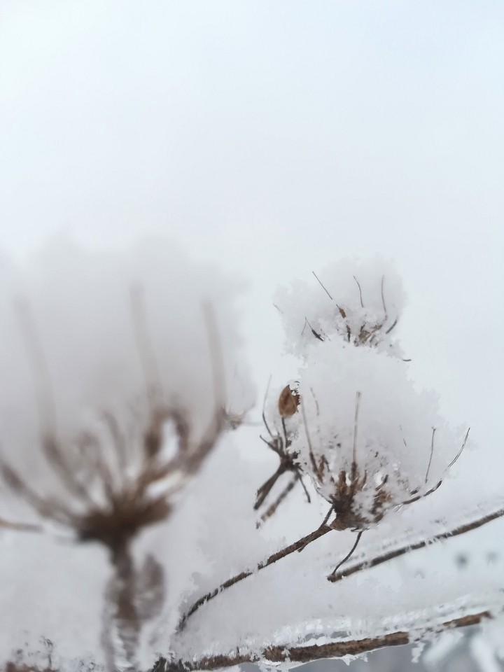 Minimalistic