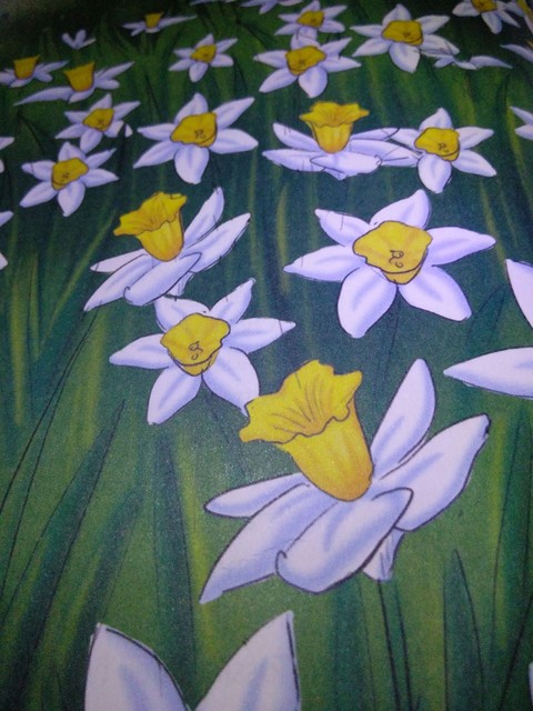 field of flowers
