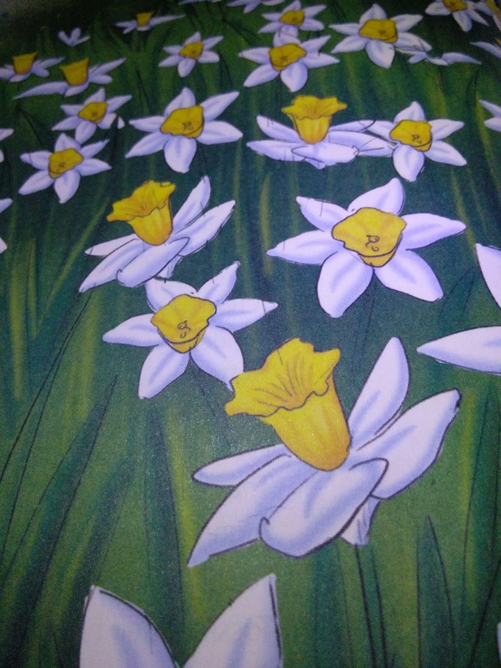 field of flowers