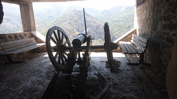 Cannon