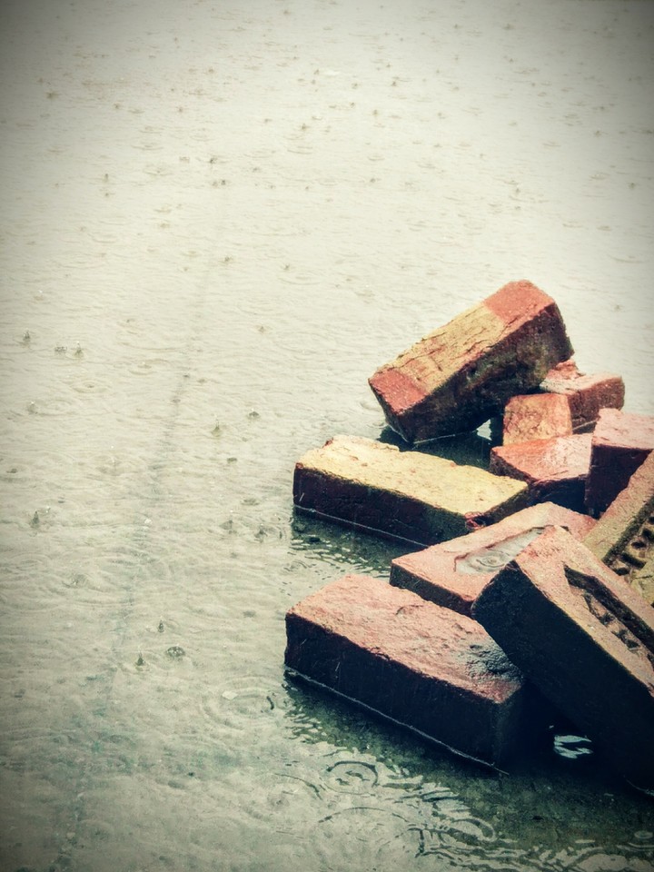 rainy brick