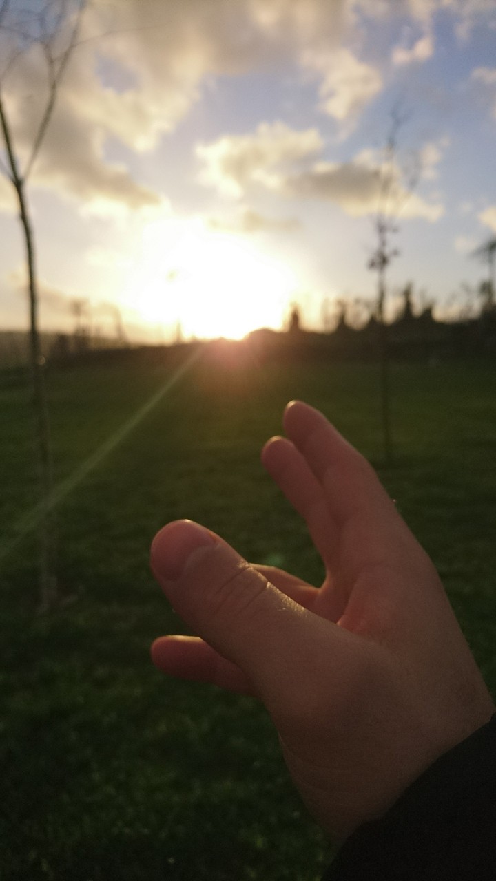 into the sun