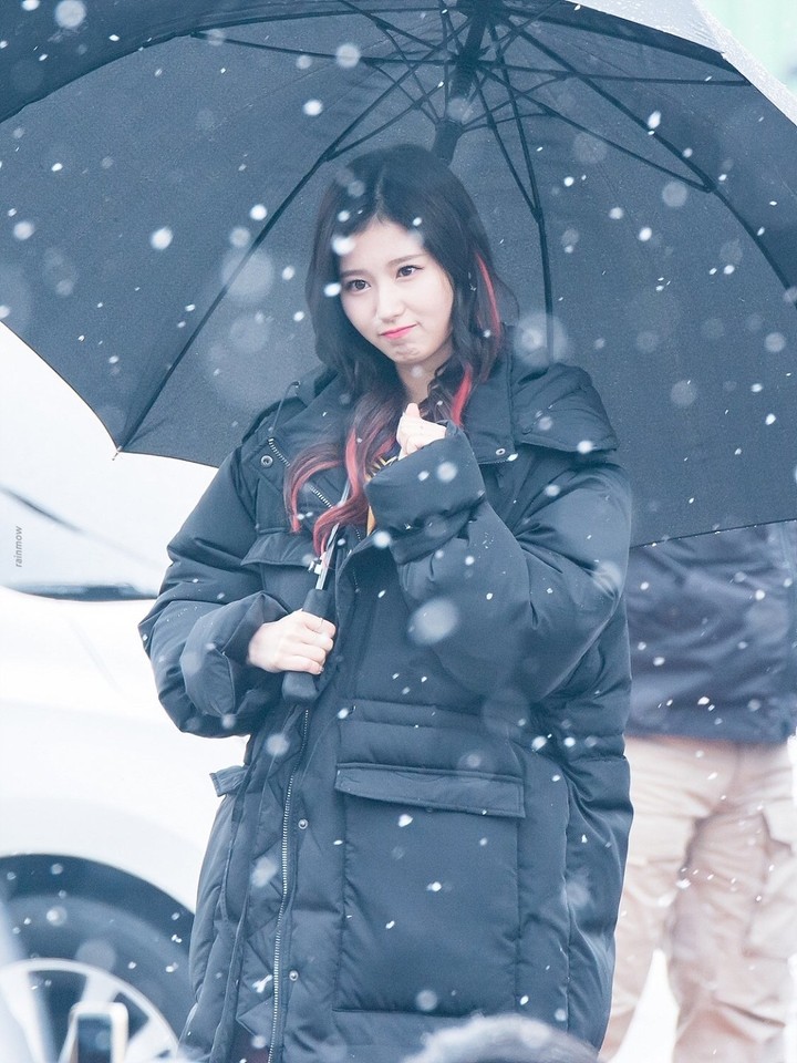 사나