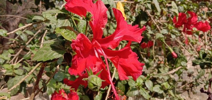 natures beauty affect the reality