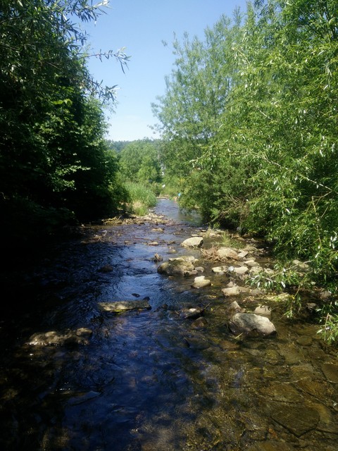 Rzeka