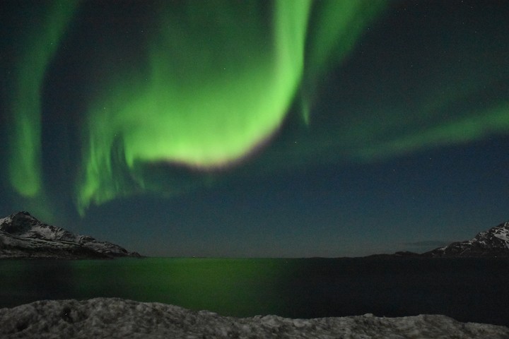 Aurora