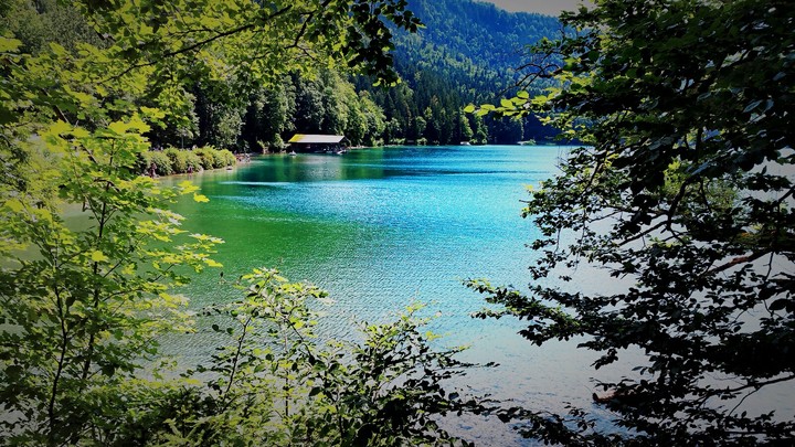 Natur