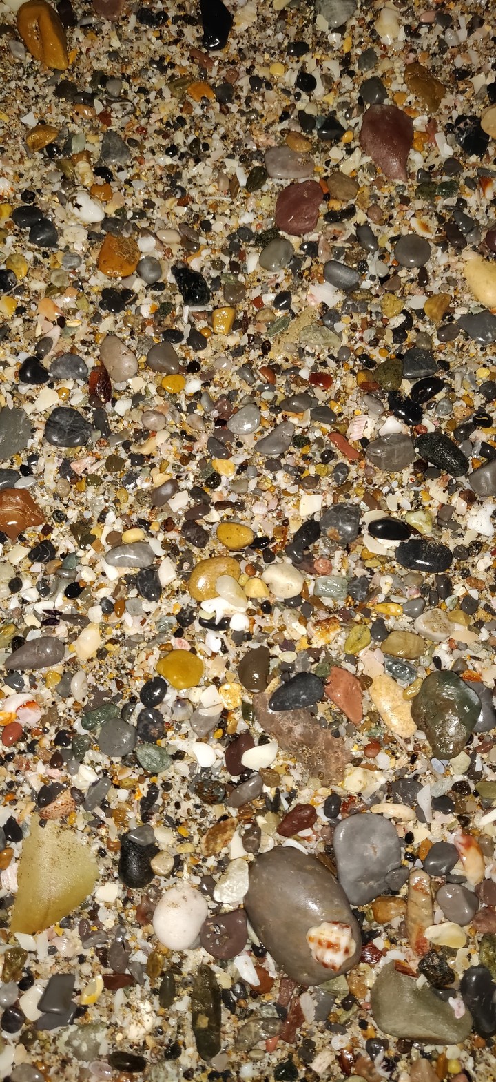 Sea stones