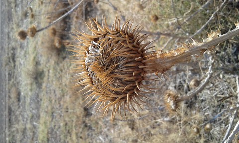 my photography