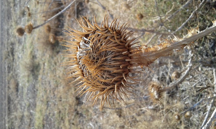 my photography