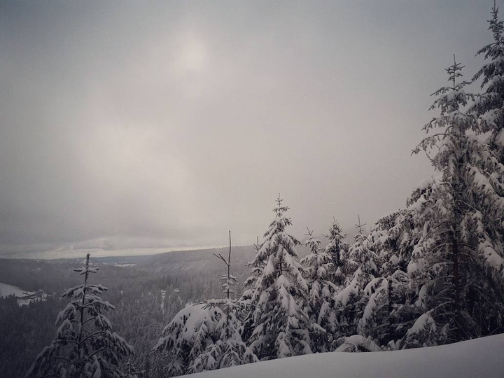 Paysage Hivernal