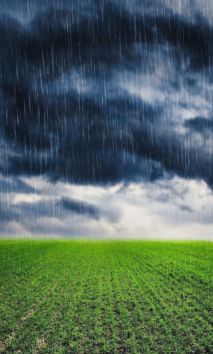 rain