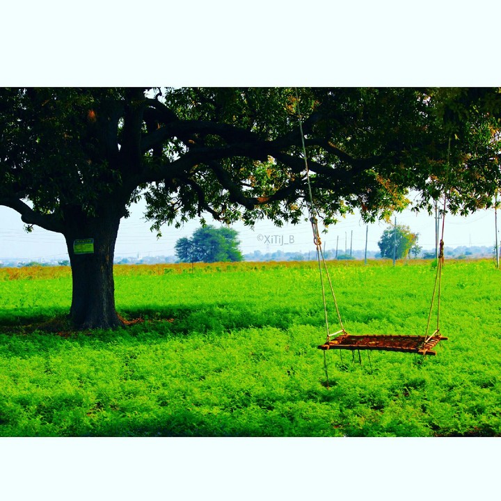 farm
