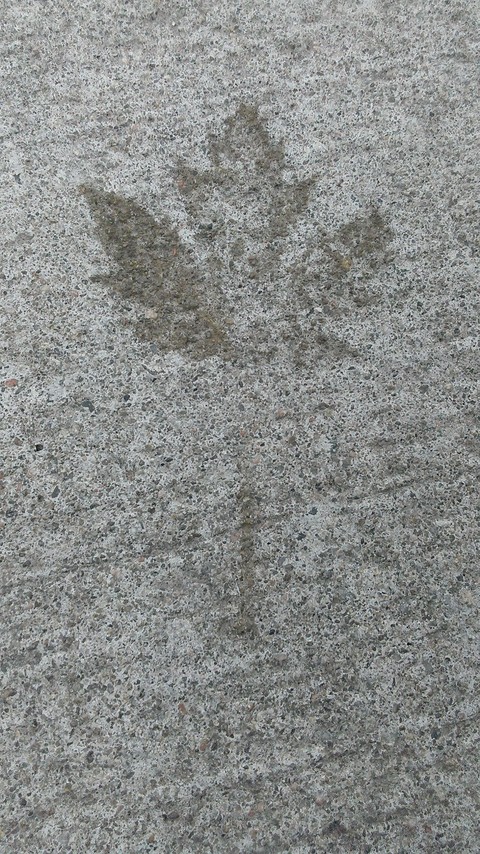 grey, soil壁纸