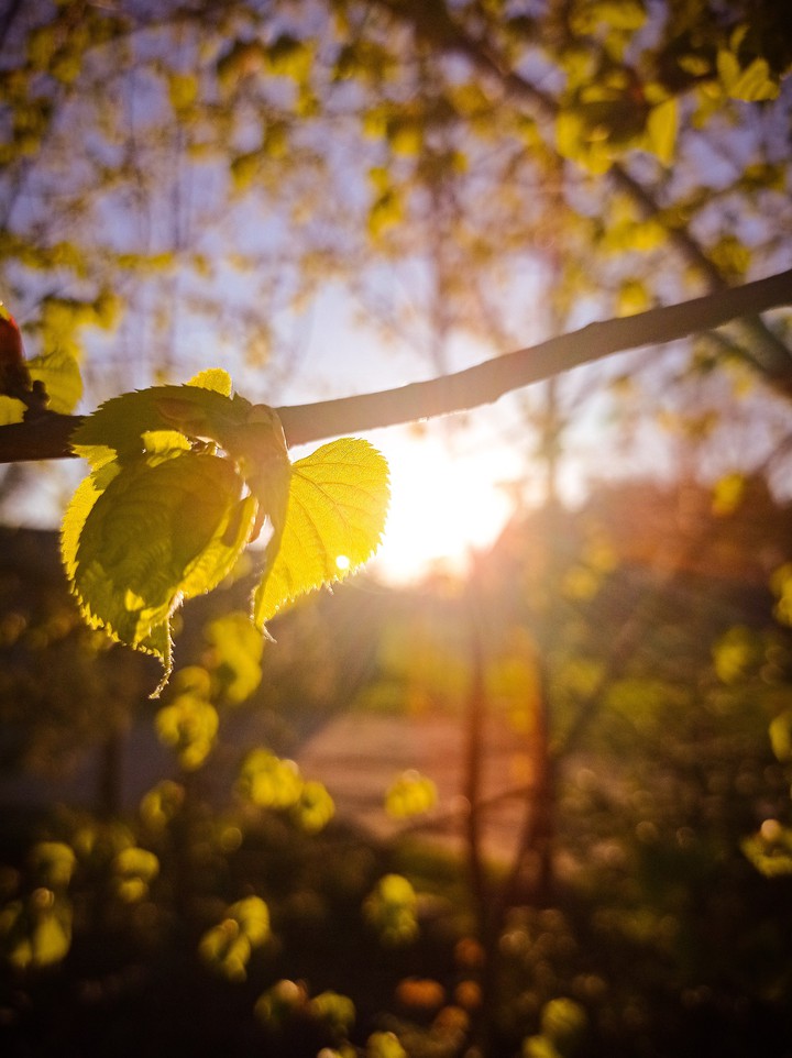 Spring
