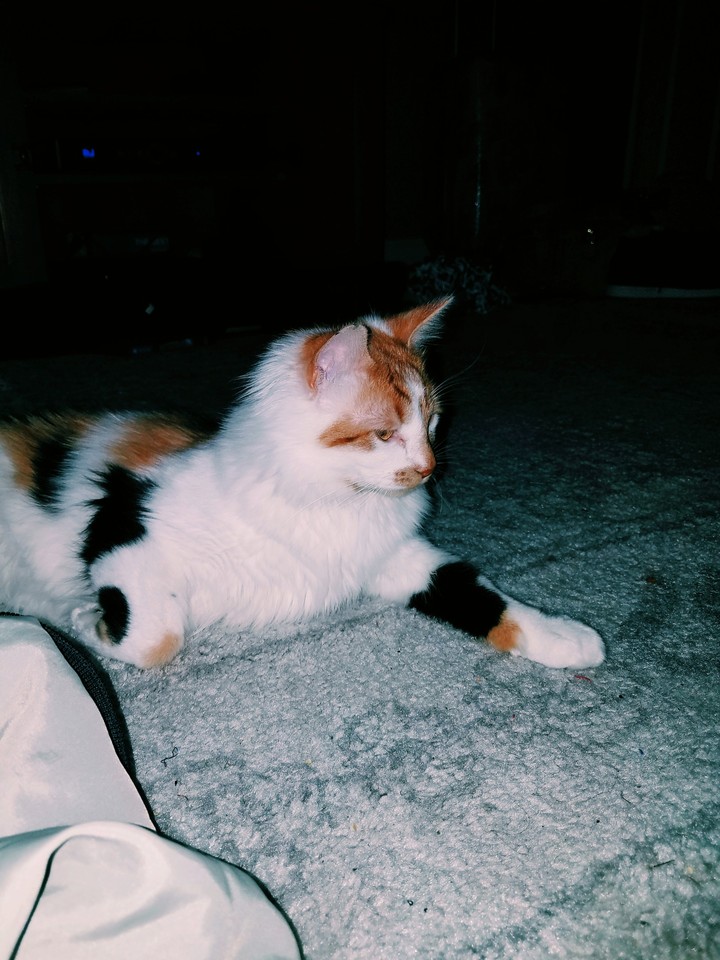 patches in deep thought